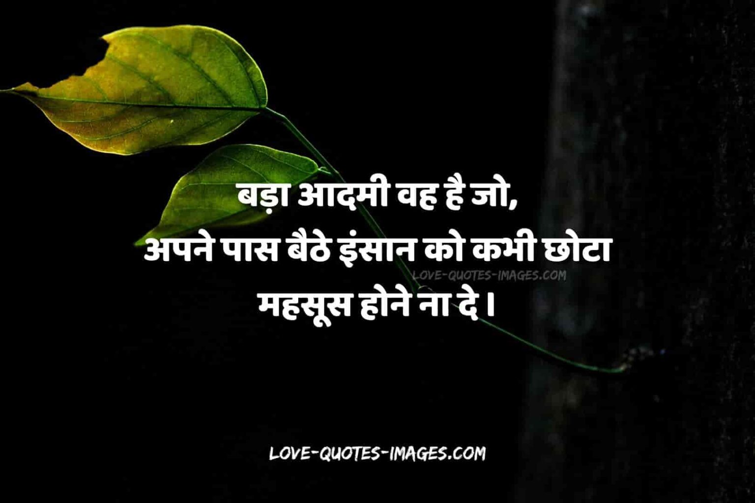 100+ Best True Lines Hindi Images Download 2023 - Shayari Sad