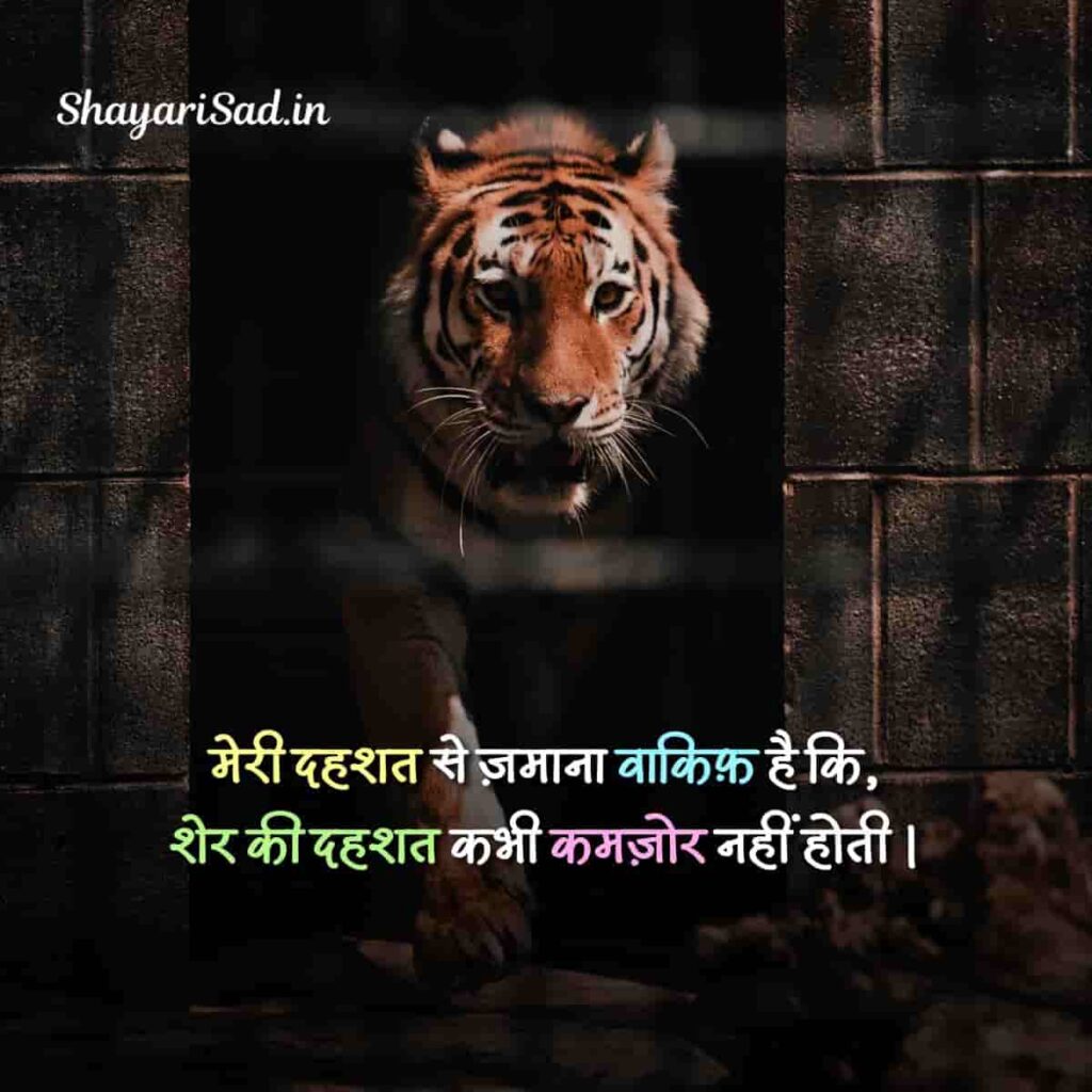 hindi attitude shayari in hindi